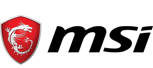 MSI