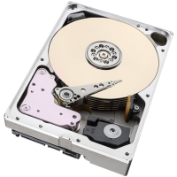 Жесткий диск Seagate 16000 Gb IRONWOLF NAS (ST16000VN001)
