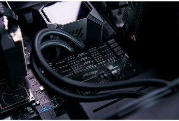Оперативная память 32 Gb 4600 MHz Kingston FURY Renegade (KF446C19RB12K2/32)