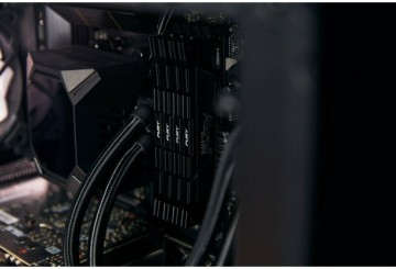 Оперативная память 32 Gb 4600 MHz Kingston FURY Renegade (KF446C19RB12K2/32)