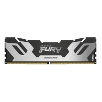 Оперативная память 48 Gb 6000 MHz Kingston FURY Renegade XMP Silver/Black (KF560C32RS-48)