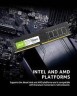 Оперативная память 8 Gb 3200 MHz Acer UD-100 (BL.9BWWA.222)
