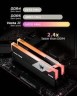 Оперативная память 32 Gb 6600 MHz Acer Predator Vesta II RGB Black VESTA2-32GB-6600-1R8-V2 (BL.9BWWR.359)