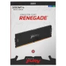 Оперативная память 16 Gb 3200 MHz Kingston FURY RENEGADE Black (KF432C16RB1/16)