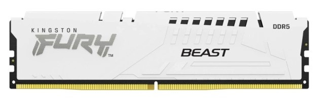 Оперативная память 16 Gb 5600 MHz Kingston FURY Beast RGB White (KF556C36BWE-16)
