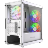 Компьютерный корпус Powercase Mistral Micro D3W TG ARGB V2 White (CMMDW-A3-V2)
