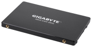 Твердотельный накопитель Gigabyte 256 Gb (GP-GSTFS31256GTND)