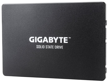 Твердотельный накопитель Gigabyte 256 Gb (GP-GSTFS31256GTND)