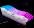 Оперативная память 64 Gb 6000 MHz Team Group T-FORCE DELTA RGB White (FF4D564G6000HC38ADC01)