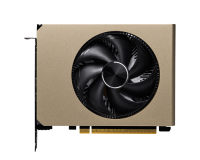Видеокарта MSI (G5060-8IIC) GeForce RTX 5060 8G INSPIRE ITX OC