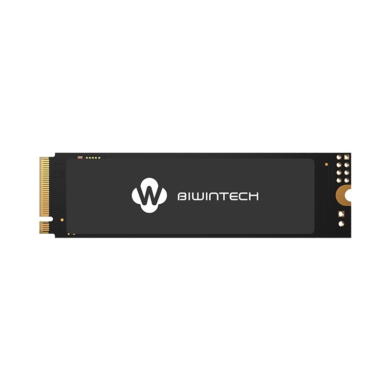 Твердотельный накопитель BiwinTech 256 Gb 82P1B8#G