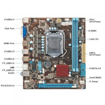 Материнская плата Esonic HB310CNB-UK
