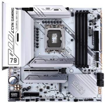 Материнская плата Colorful CVN Z790M FROZEN D5 V20 White
