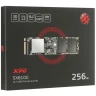 Твердотельный накопитель ADATA 256 Gb ASX8100NP-256GT-C XPG