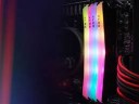 Оперативная память 32 Gb 3600 MHz PNY XLR8 EPIC-X RGB (MD32GK2D4360018XRGB)