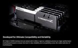 Оперативная память 16 Gb 4400 MHz G.Skill TRIDENT Z (F4-4400C19D-16GTZSW)