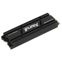 Твердотельный накопитель Kingston 4000 Gb (SFYRDK/4000G)