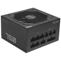 Блок питания Gigabyte 750W (GP-P750GM)