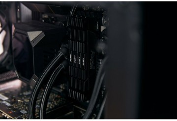 Оперативная память 32 Gb 4266 MHz Kingston FURY Renegade XMP Black (KF442C19RB12K2/32)