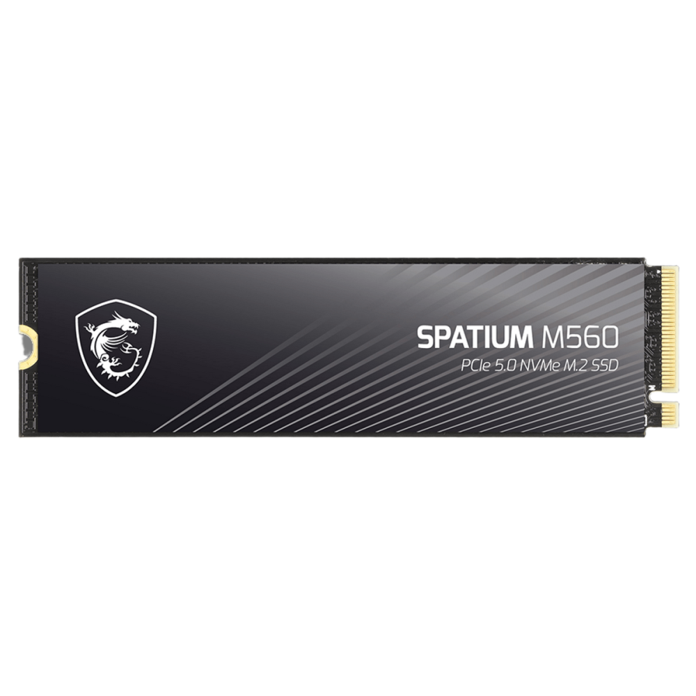 Твердотельный накопитель MSI 1000 Gb SPATIUM M560 (S78-440L0F0-P83)