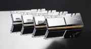 Оперативная память 64 Gb 3200 MHz G.Skill TRIDENT Z ROYAL Silver (F4-3200C14D-64GTRS)