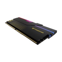 Оперативная память 32 Gb 6400 MHz Acer Predator Hermes RGB Black (HERMES-32GB-6400-1R8-V2) (BL.9BWWR.391)