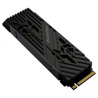 Твердотельный накопитель Acer 2000 Gb Predator GM7000HS (BL.9BWWR.123)