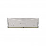 Оперативная память 32 Gb 6400 MHz Acer Predator Pallas II Silver (PALLASII-32GB-6400-1R8-2XV5) (BL.9BWWR.532)