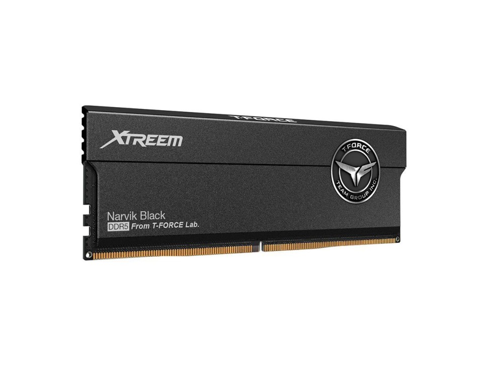 Оперативная память 48 Gb 8200 MHz Team Group T-FORCE XTREEM Black (FFXD548G8200HC38EDC01)