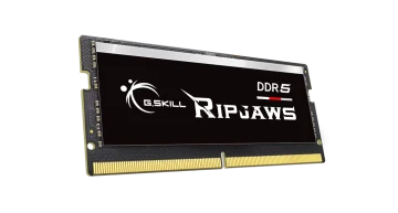 Оперативная память 32 Gb 5600 MHz G.Skill RIPJAWS S5 (F5-5600S4645A32GX1-RS)