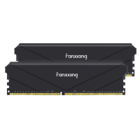 Оперативная память 32 Gb 3200 MHz Fanxiang Black (FU4HC32ACK2-TBB)