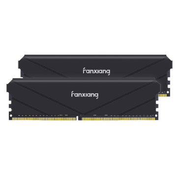Оперативная память 32 Gb 3200 MHz Fanxiang Black (FU4HC32ACK2-TBB)