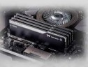 Оперативная память 8 Gb 3600 MHz Thermaltake TOUGHRAM Z-ONE Black (R010D408GX1-3600C18S)