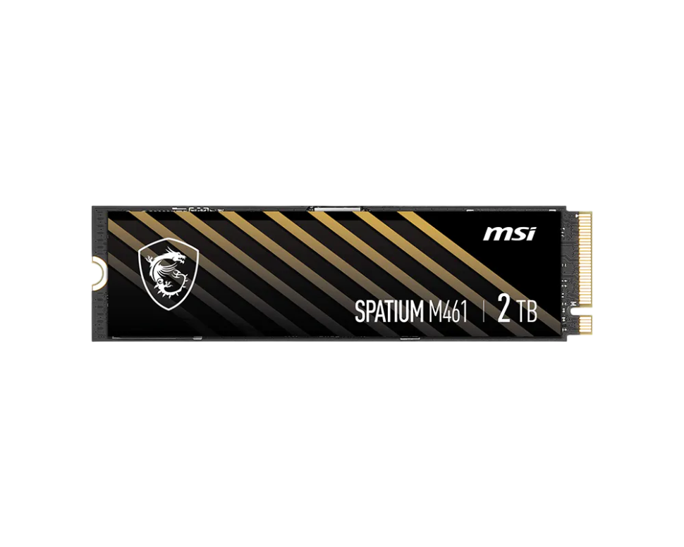 Твердотельный накопитель MSI 2000 Gb SPATIUM M461 (S78-440Q550-P83)
