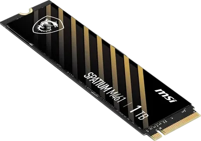 Твердотельный накопитель MSI 1000 Gb SPATIUM M461 (S78-440L1D0-P83)