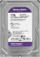 Жесткий диск Western Digital 1000 Gb Purple (WD10PURZ)