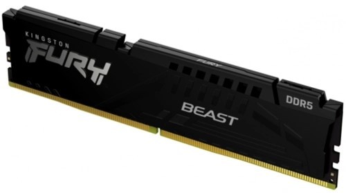 Оперативная память 16 Gb 5600 MHz Kingston FURY Beast EXPO Black (KF556C36BBE-16)