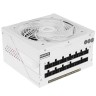 Блок питания Gigabyte 850W GP-AE850PM PG5 ICE 16 Pin (PCIe 5.0 Connector Cable Details)