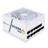 Блок питания Silverstone 1000W SST-DA1000R-GM-WWW (G540DA100R4M220) 16 Pin (PCIe 5.0 Connector Cable Details)