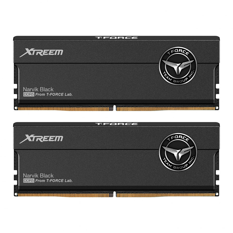 Оперативная память 32 Gb 6000 MHz Team GroupT-FORCE Xtreem (FFXD532G6000HC30DC01) 
