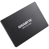 Твердотельный накопитель Gigabyte 1000 Gb (GP-GSTFS31100TNTD)