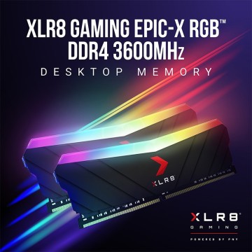Оперативная память 16 Gb 3600 MHz PNY XLR8 EPIC-X RGB (MD16GK2D4360018XRGB)