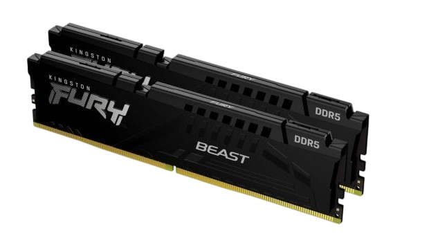Оперативная память 16 Gb 6000 MHz Kingston FURY Beast EXPO Black (KF560C36BBEK2-16)
