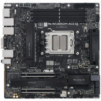 Материнская плата ASUS PRO WS B850M-ACE SE (90MB1MN0-M0EAY0)