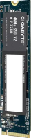 Твердотельный накопитель Gigabyte 256 Gb (G3NVMEV2256G)