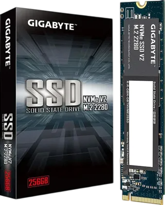Твердотельный накопитель Gigabyte 256 Gb (G3NVMEV2256G)