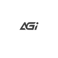 Твердотельный накопитель AGI AI298 2000 Gb (AGI2T0GIMAI298-CB)