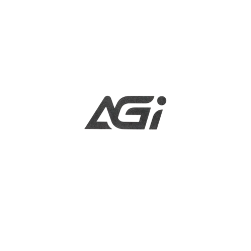 Твердотельный накопитель AGI AI298 2000 Gb (AGI2T0GIMAI298-CB)